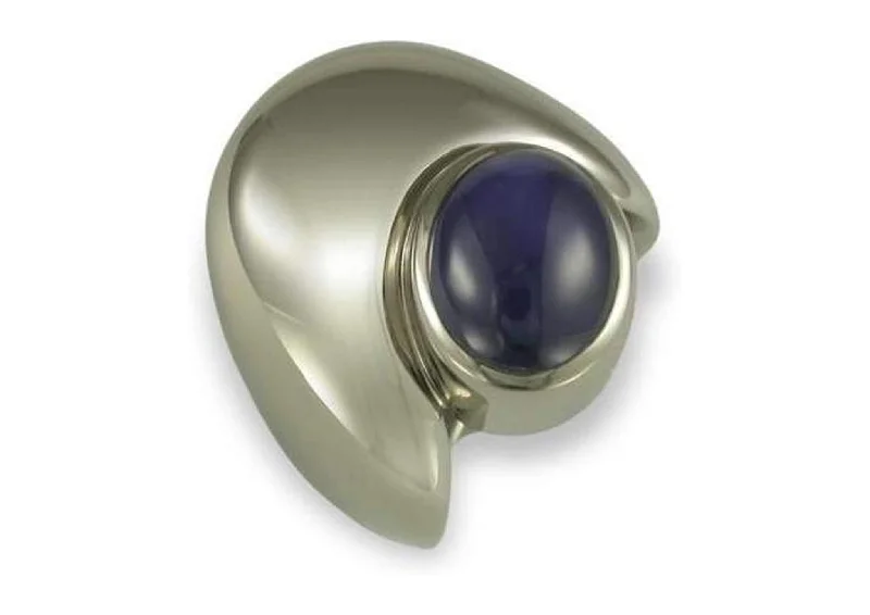 Your Perfect Accessory Now At The Best Price 9ct White gold and Sapphire ring.